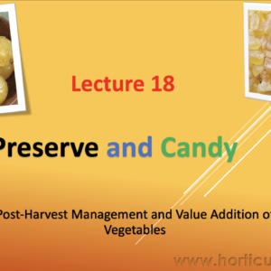 Preserve and Candy PPT